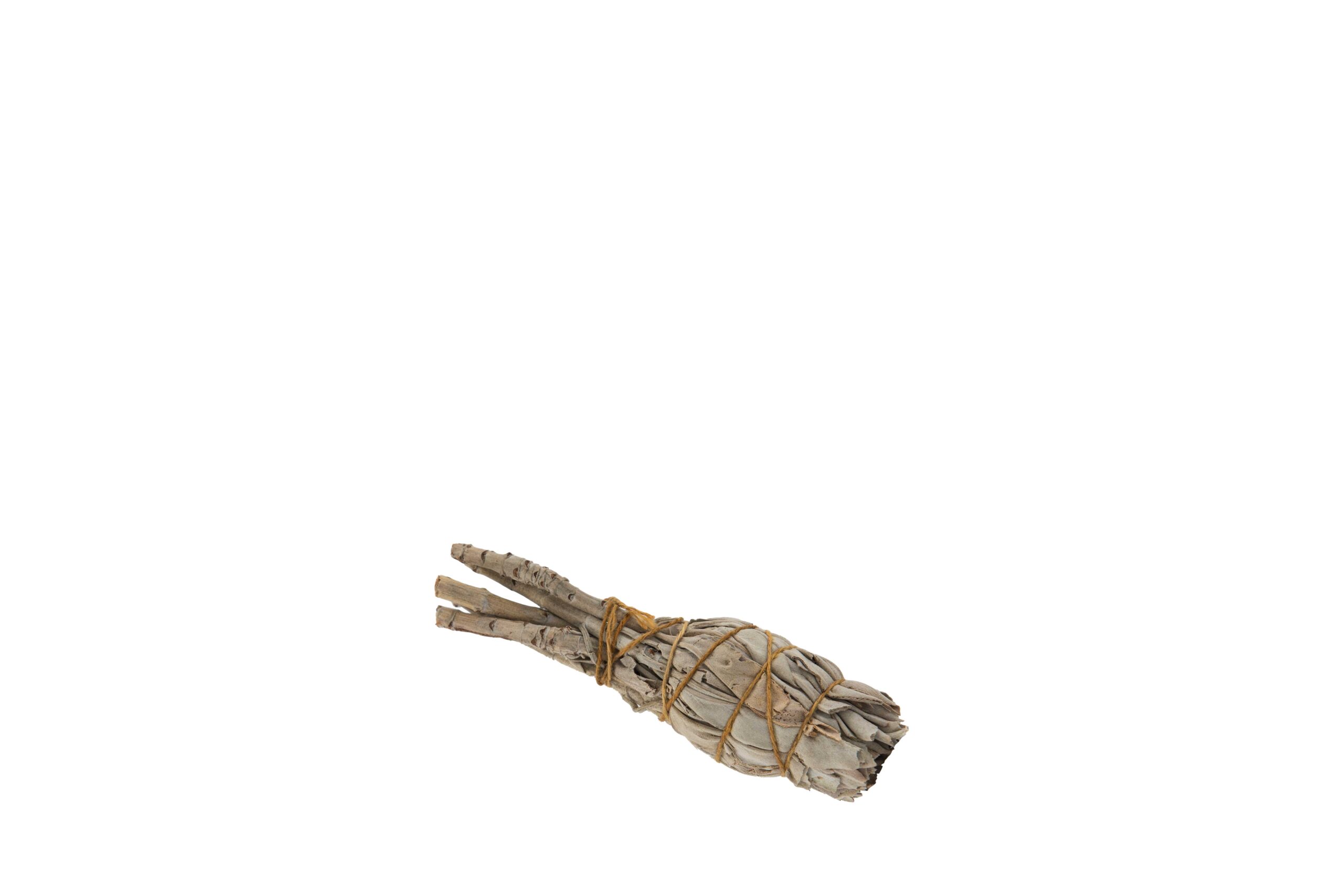 White Sage Small Bulb Smudge Stick